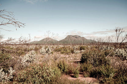 DESERTED RANGES