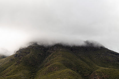 BLUFF KNOLL