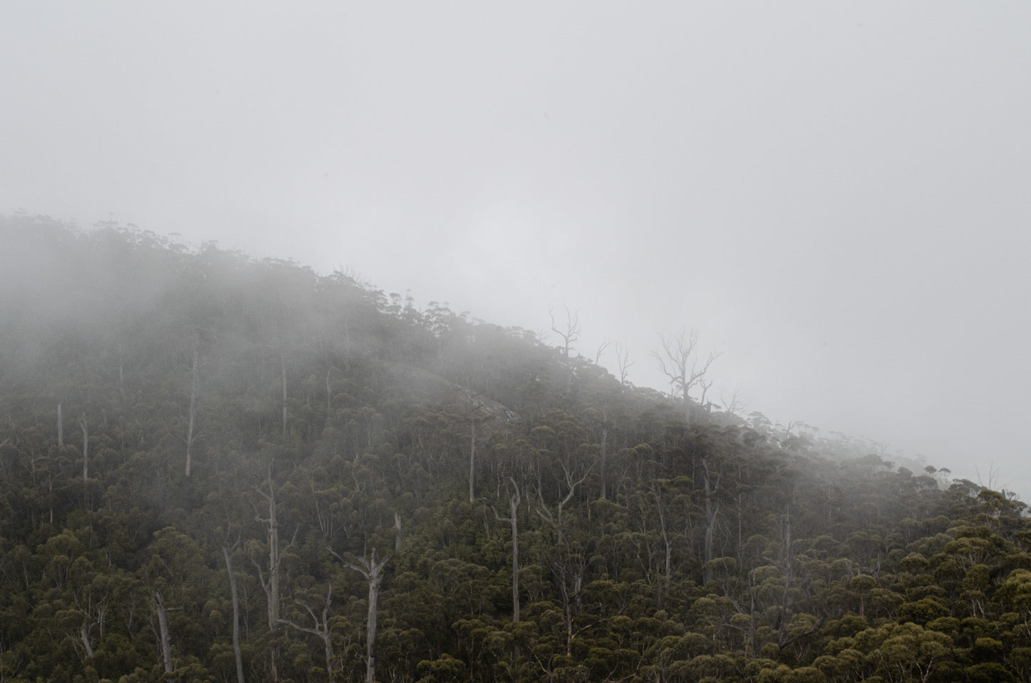 CLOUD DESCENDING