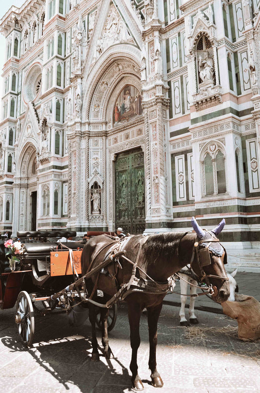 CARRIAGE AT THE DUOMO