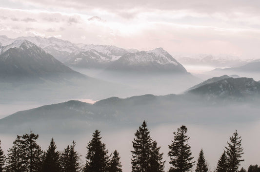 RIGI